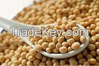 KIDNEY BEANS, AFRICAN BUSH MANGO, SOYBEAN SEEDS, WHEAT/BARLEY GRAINS