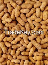 peanuts for sale