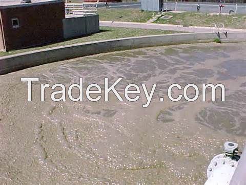 Polyacrylamide for waste water treatment