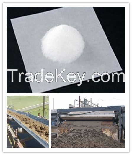 Cationic polyacrylamide for wastewater treatment