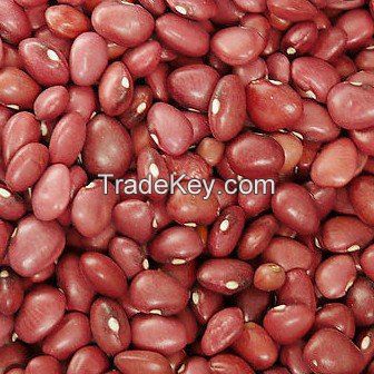 Small red kidney bean