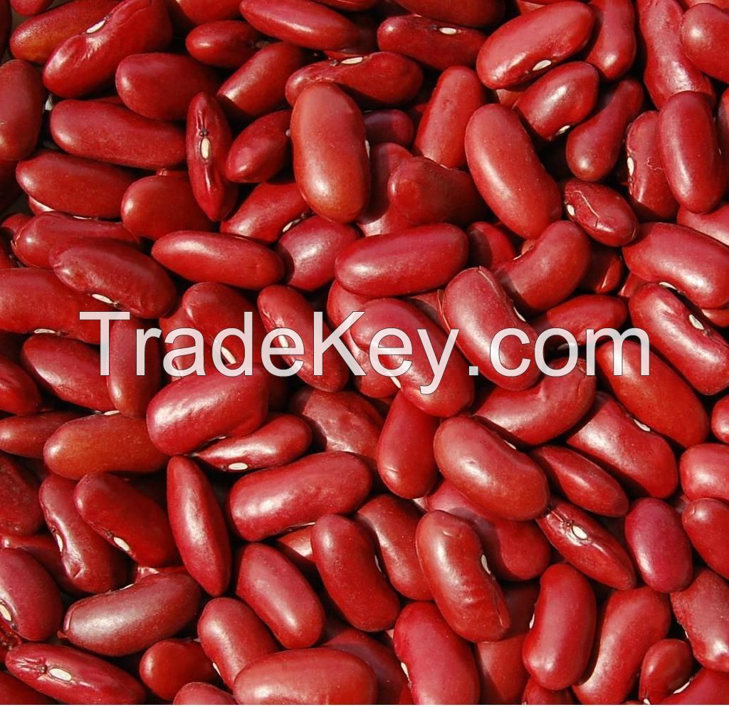 Small red kidney bean