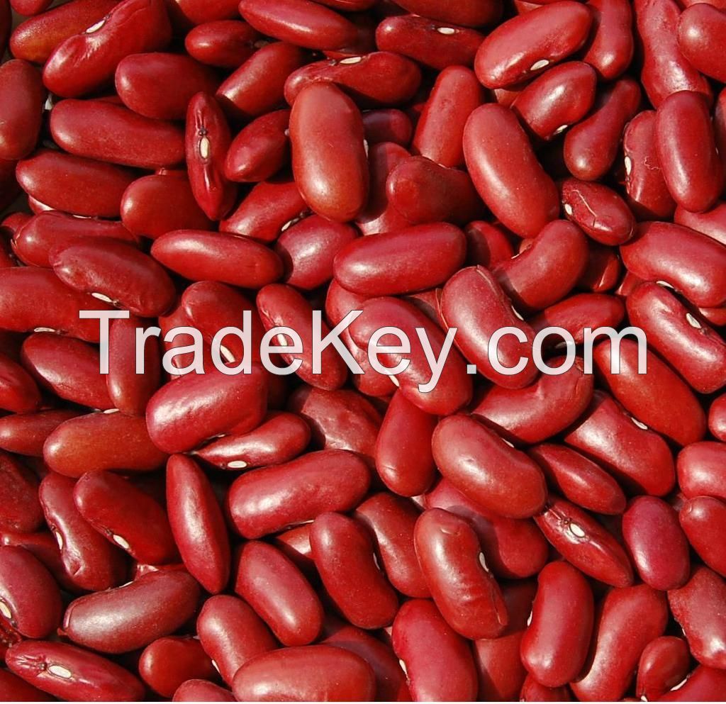 Red kidney bean