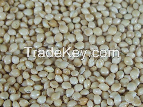 Broomcorn millet,( white,black,red,green,yellow),Millet