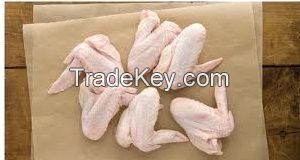 Frozen Wing best price from South korea/Asia