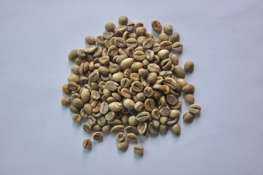 VIetnam Robusta Coffee CHEAPEST PRICE BEST QUALITY