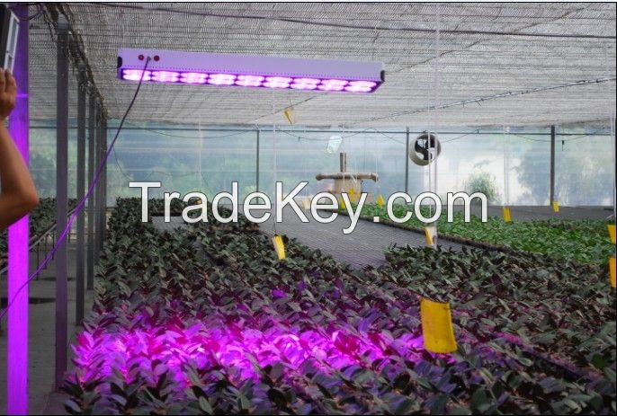 LED Grow light Made in China used greenhouse/plant factory