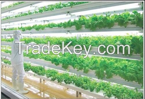 Leds Horticulture 20Watt Hps Grow Kit Oyster Mushrooms/Botanical Garden Panel Grow Lights 28W /36w/72W LED Grow  lights