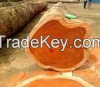 AFRICAN TEAK WOOD, TALI WOOD , PADOUK WOOD , BUBINGA,