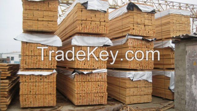 Birch lumber (timber)