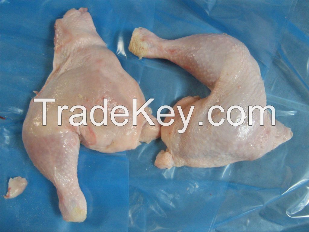 Halal Frozen  chicken  thighs and Legs