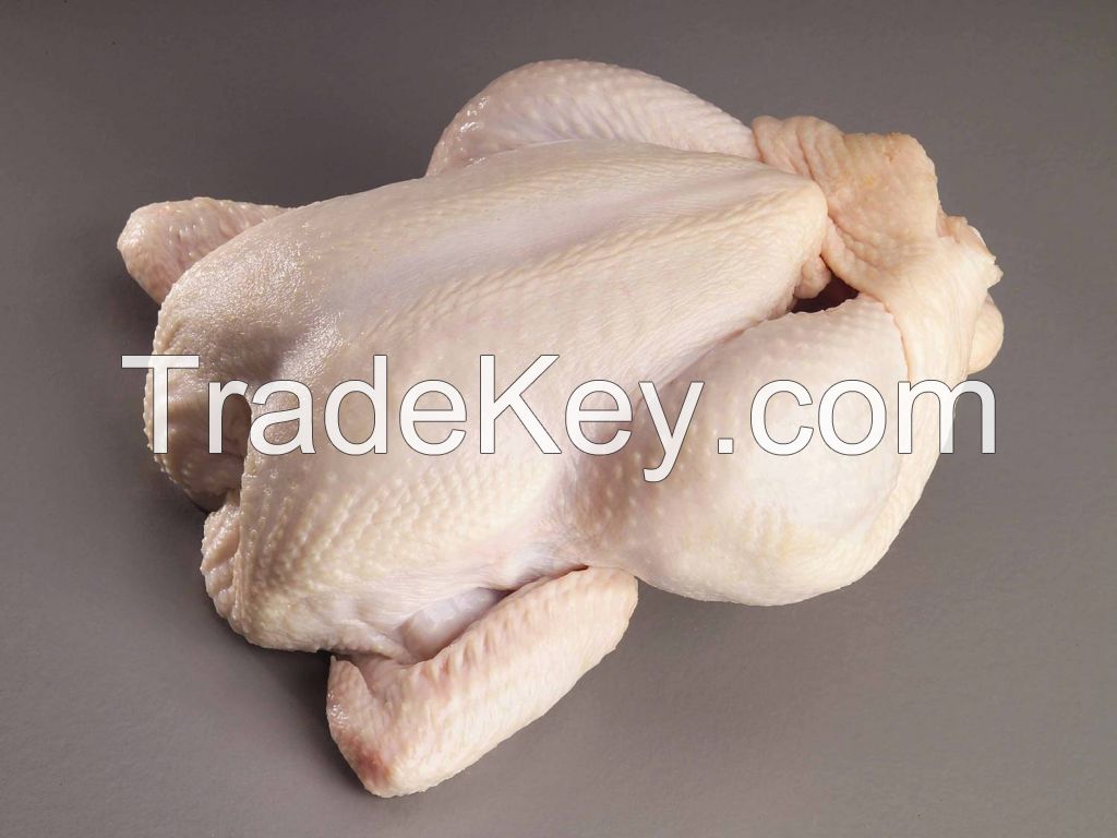 high quality Halal whole chicken 