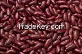 canned red beans in tomato sauce with best price