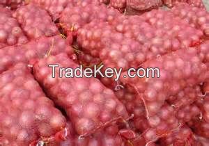 best fresh Onion price 