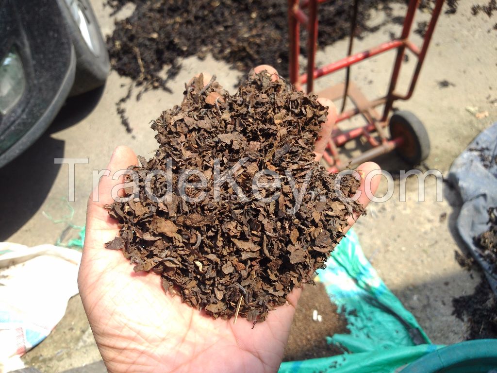 sargassum smashed