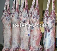 Halal Frozen Goat Meat