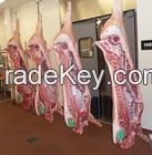 Halal Sheep and Lamb Carcass Frozen/Chilled