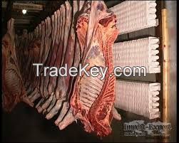 Halal Sheep and Lamb Carcass Frozen/Chilled