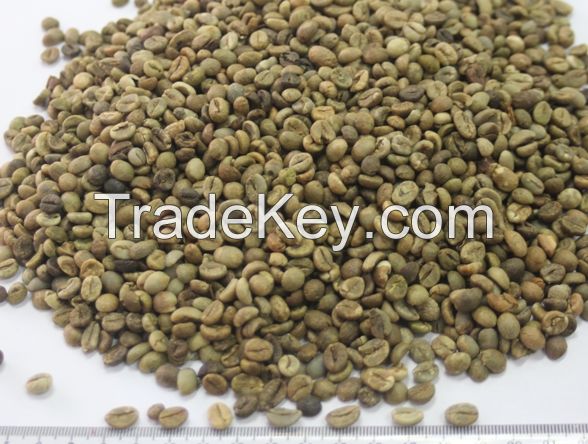 VIETNAM GREEN COFFEE BEANS CHEAP PRICE