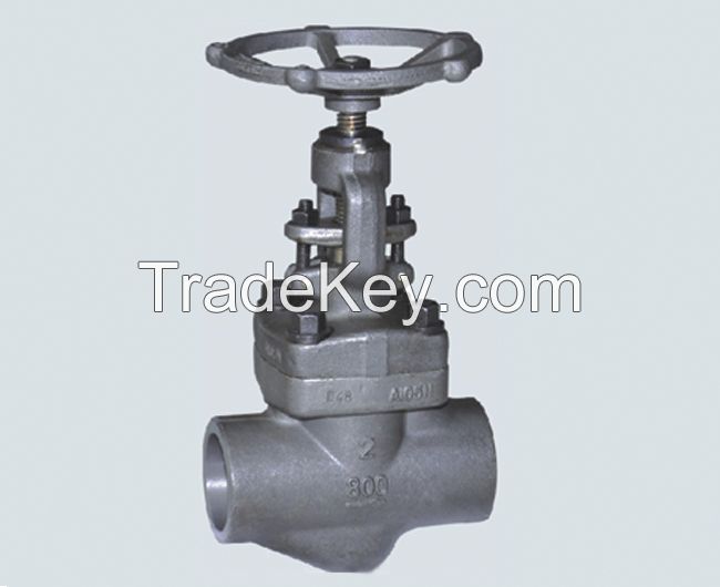 150-800Lb SW/Threaded Check/Globe Valve