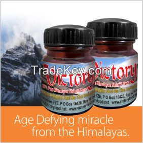 Victory Himalayan Shilajit Paste