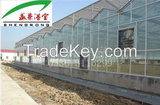 Large Multi-span Glass Greenhouse 