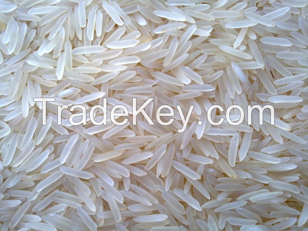 Rice - All Types Available