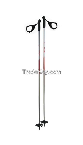 Carbon Fiber Ski Pole