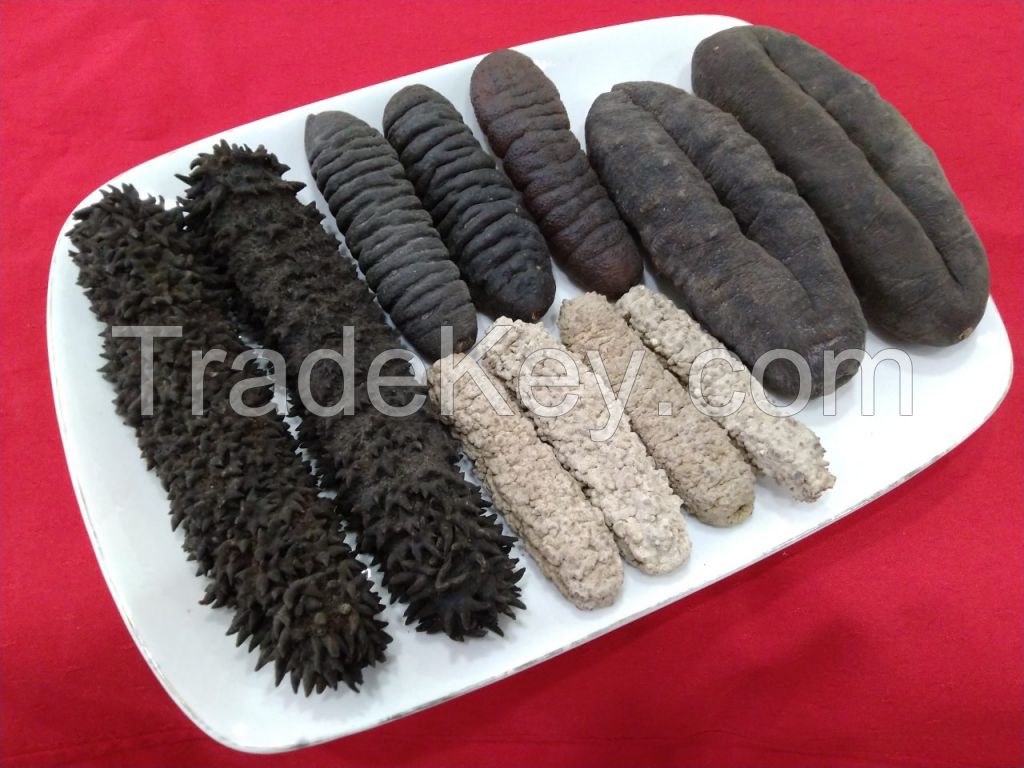 Dry sea cucumber