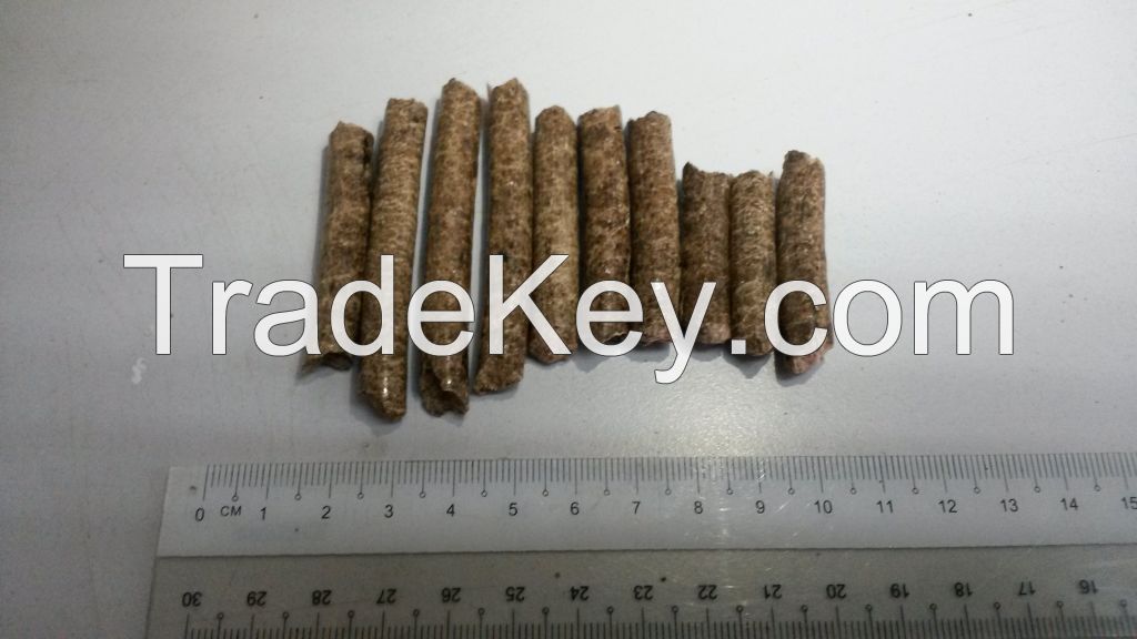 Wood Pellet