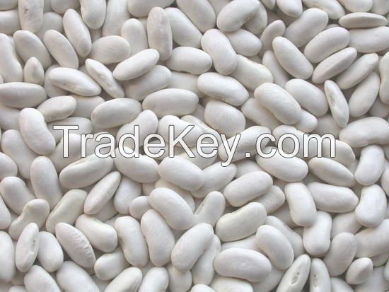 White  and Light Speckled Kidney Beans