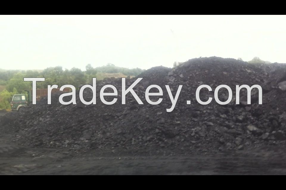 INDONESIAN STEAM COAL (Real Producer)