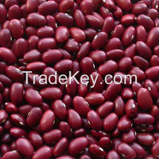 Red kidney beans