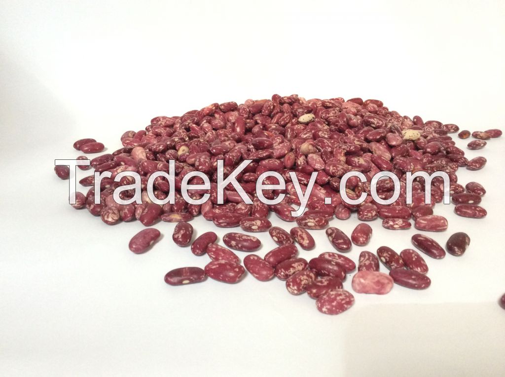 Ethiopian red speckled kidney bean