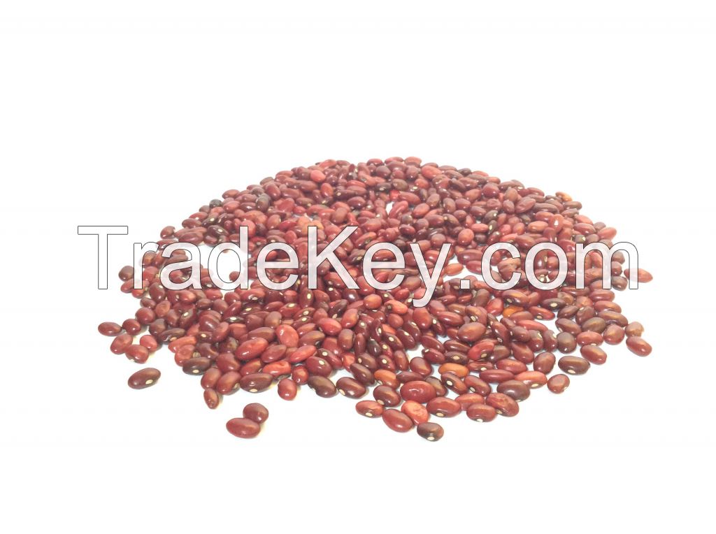 Ethiopian red kidney bean