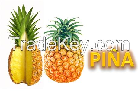 Fresh Pineapples