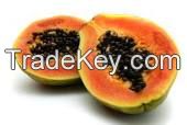 papaya