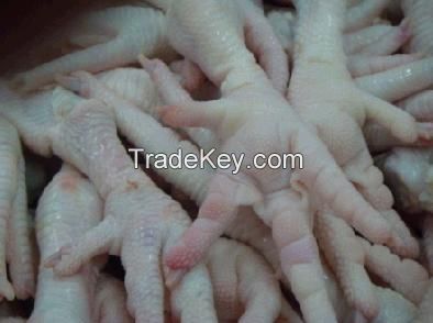 Top Quality Halal Frozen Chicken Feet 