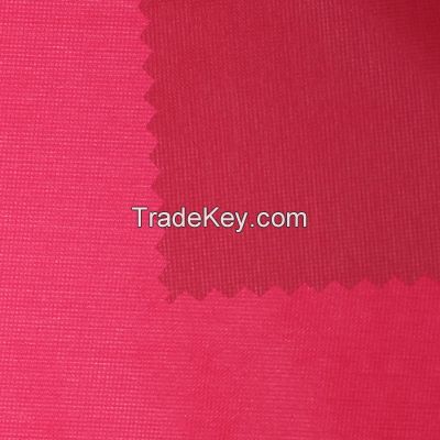 Nylon 100% fabric (SJ-2013) 