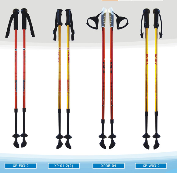 2-section nordic walking stick