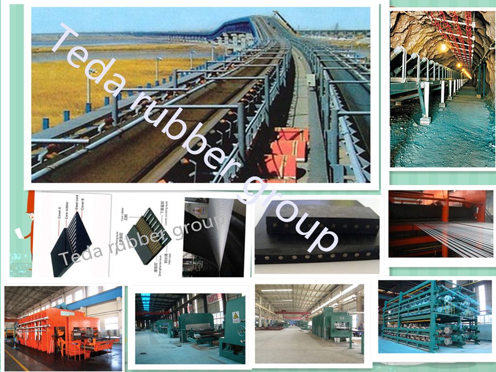 Standard Construction Steel Cord Conveyor Belt