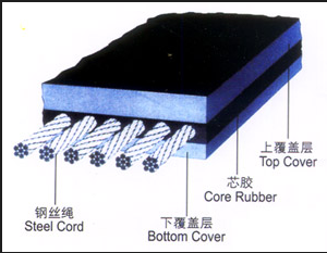Steel Cord Conveyor Belt manufacturer