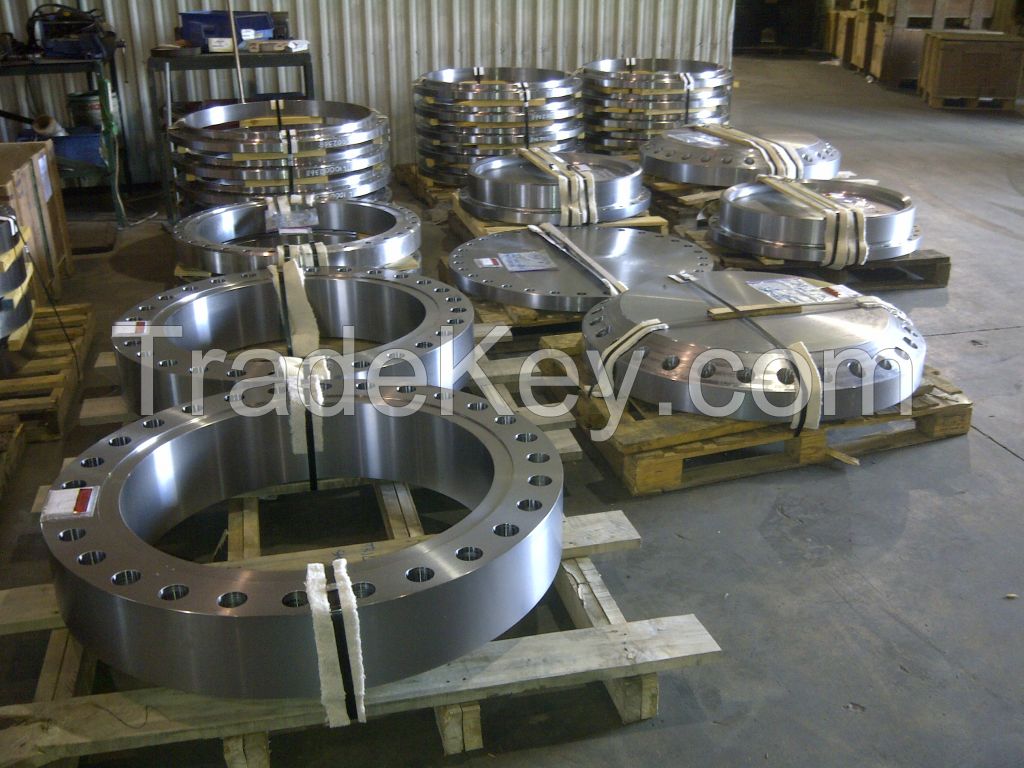 Stainless/Carbon/Alloy steel falnges