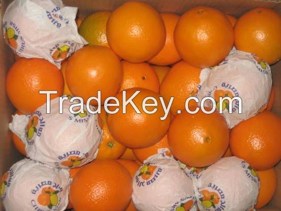 Navel Orange Offer