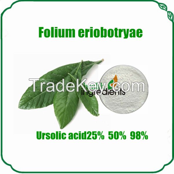 low price rosemary extract carnosic acid rosemarinic acid ursolic acid