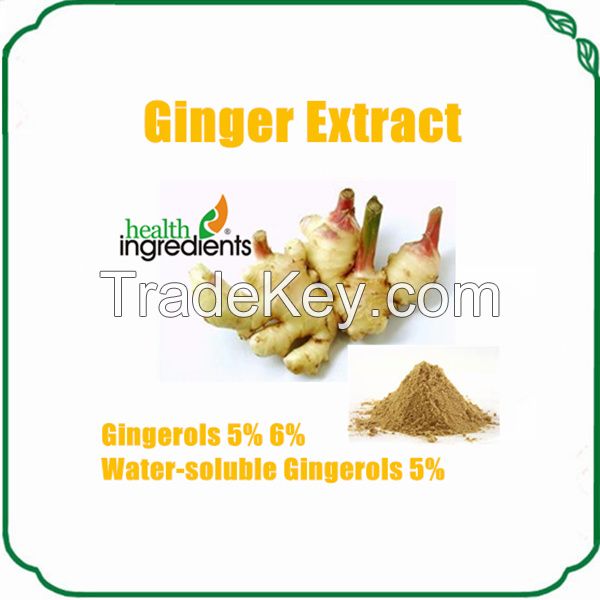 natural and hing quality ginger extract gingerols powder 5% hplc