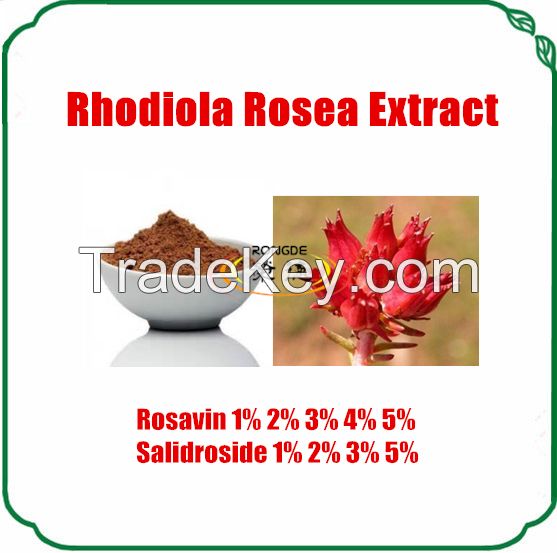 natural and organic rhodiola rosea extract1%-5%salidroside powder HPLC
