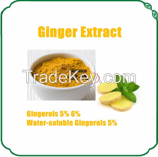 natural and hing quality ginger extract gingerols powder 5% hplc