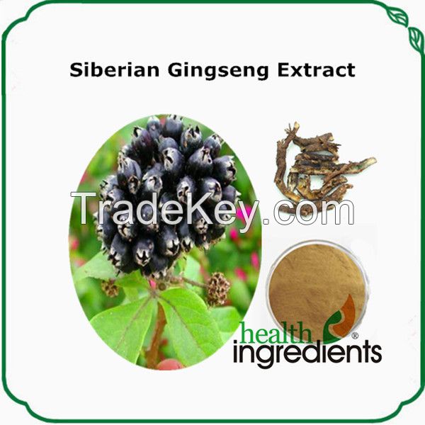 100% natural and high quality health care 0.8% siberian gingseng extract eleutherosideSB+E powder