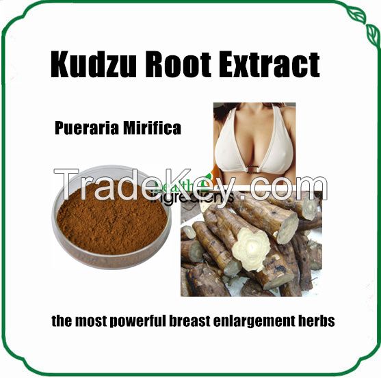natural and high quality health care kudzu root extract  powder puerarin isoflavones 